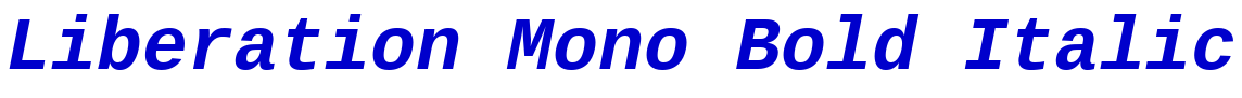 Liberation Mono Bold Italic font